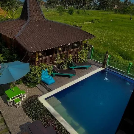 Green Paddy Villa & Hostel By Luxury Degree